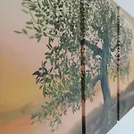 Anesi Vista *